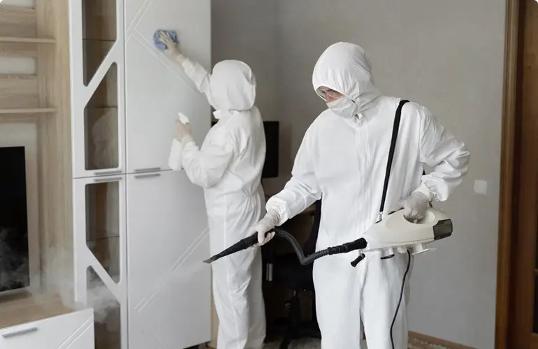 Evdeki Haşerelerden Nasıl Kurtulurum?